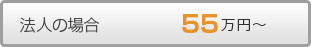 法人の場合55万円～
